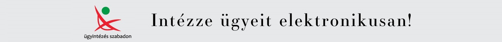 e-ugyintezes-e-onkormanyzat